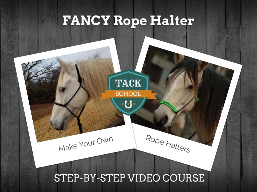 Fancy Rope Halter Video Course