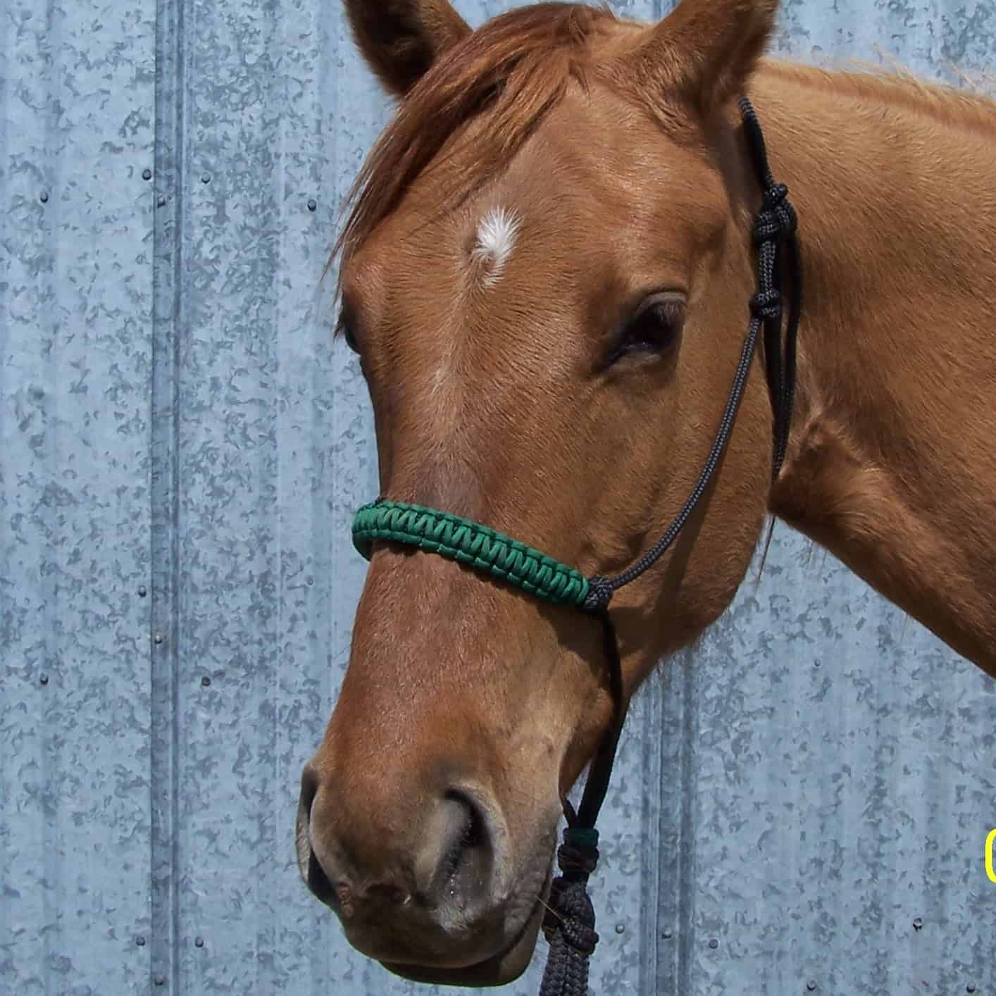 Hand-Spliced Yacht Rope Reins - The Homestead Tack Shop
